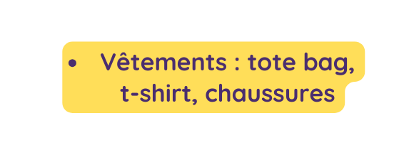 Vêtements tote bag t shirt chaussures